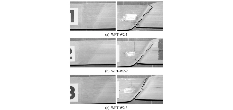 Fig. 12