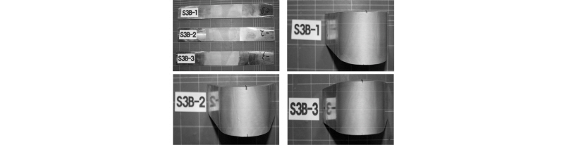 Fig. 21