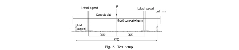 Fig. 6.