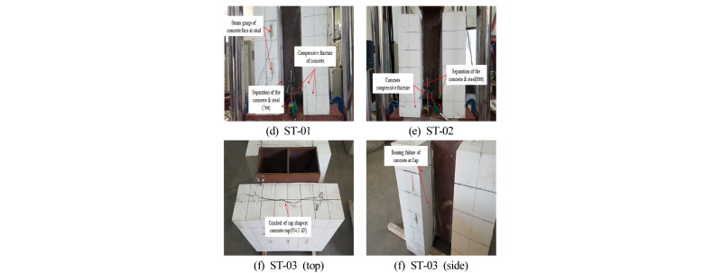 Fig. 10.