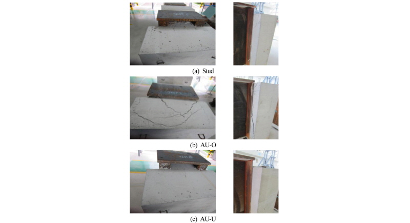 Fig. 9.
