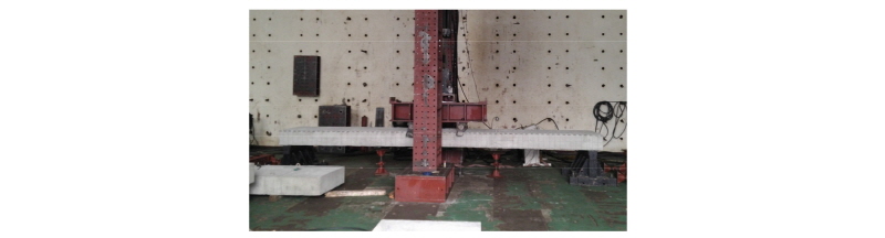 Fig. 9. 