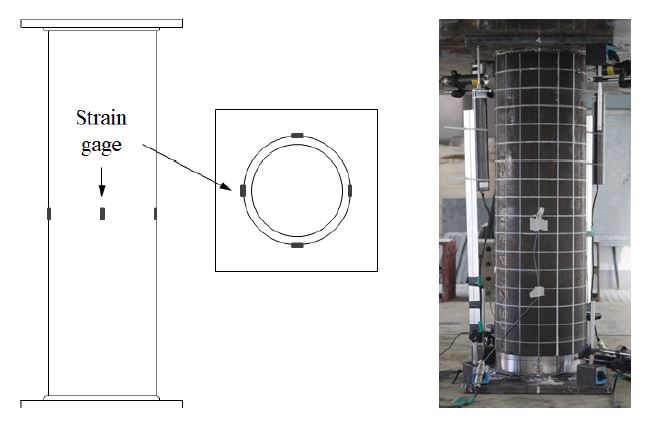 Fig. 5.