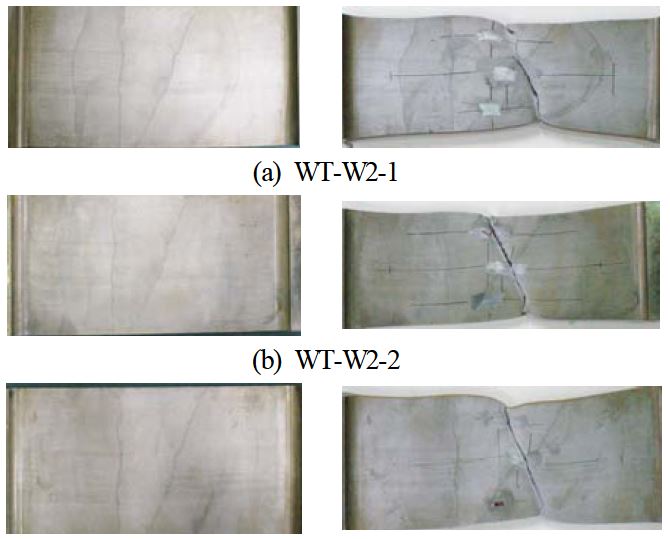 Fig. 10.