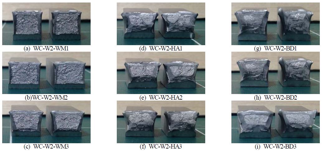 Fig. 15.