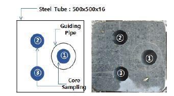 Fig. 11.