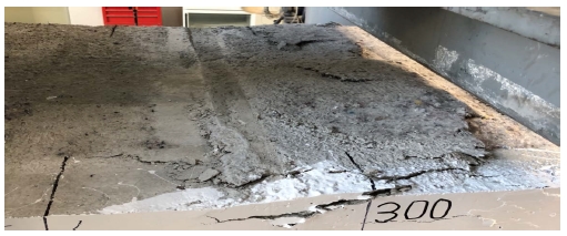 Fig. 10.