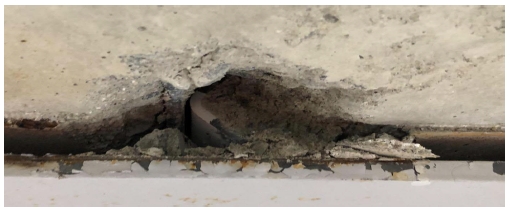 Fig. 11.