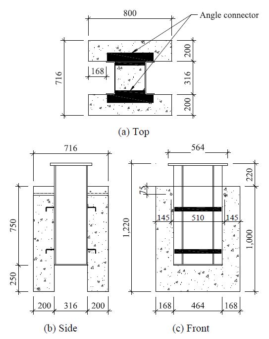 Fig. 1.