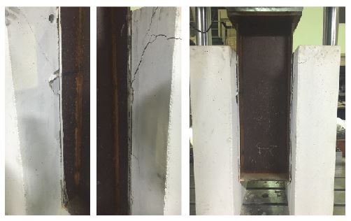 Fig. 10.