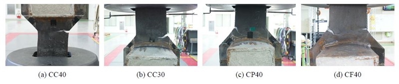 Fig. 10.