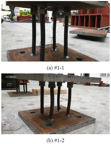 Fig. 9.
