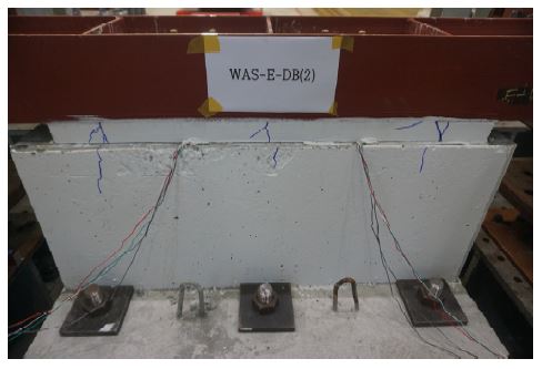 Fig. 10.