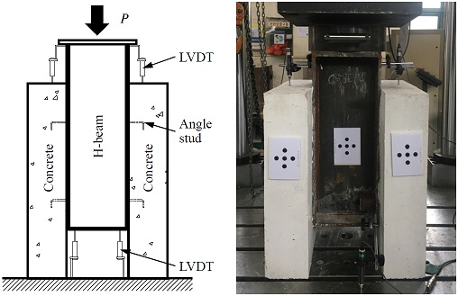 Fig. 6.